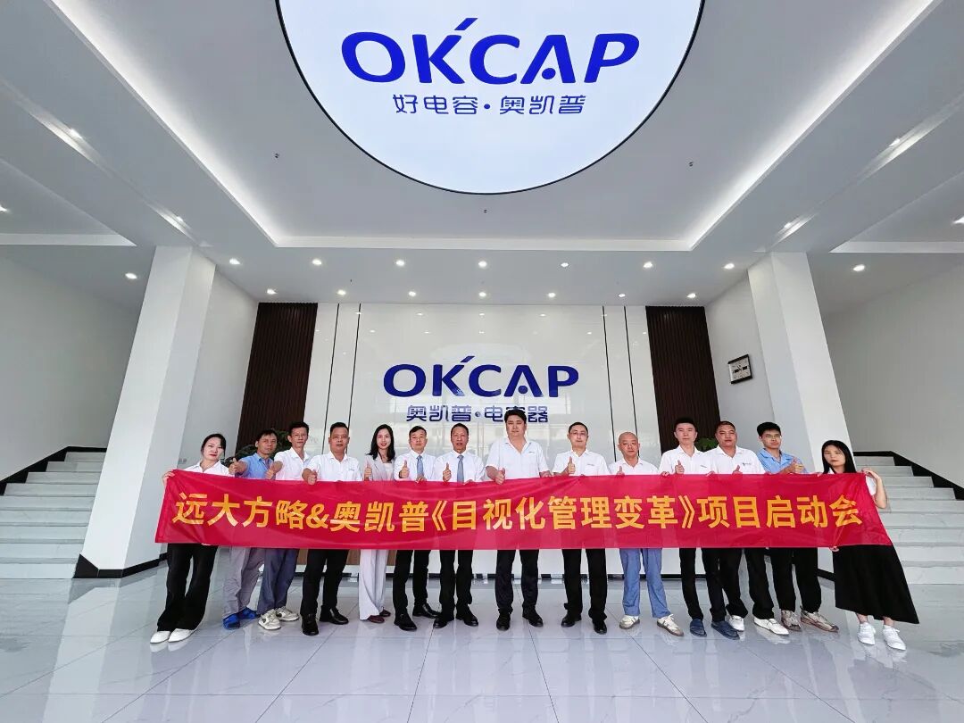 电子行业 | 奥凯普携手远大方略启动《目视化管理》咨询项目